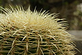 Bernhard Saalfeld - DSC04846.JPG