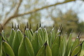 Bernhard Saalfeld - DSC04847.JPG