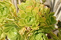 Bernhard Saalfeld - DSC04849.JPG