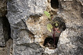 Bernhard Saalfeld - DSC04871.JPG