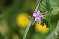 Bernhard Saalfeld - DSC04872.JPG