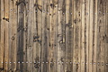 Bernhard Saalfeld - DSC04876.JPG