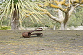 Bernhard Saalfeld - DSC04881.JPG