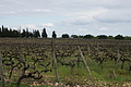 Bernhard Saalfeld - DSC04899.JPG
