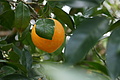 Bernhard Saalfeld - DSC04906.JPG