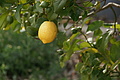 Bernhard Saalfeld - DSC04907.JPG