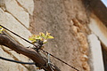 Bernhard Saalfeld - DSC04908.JPG