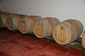 Bernhard Saalfeld - DSC04914.JPG