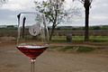 Bernhard Saalfeld - DSC04926.JPG