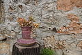 Bernhard Saalfeld - DSC04936.JPG