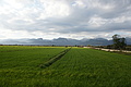 Bernhard Saalfeld - DSC04942.JPG