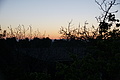 Bernhard Saalfeld - DSC04946.JPG