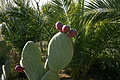 Bernhard Saalfeld - DSC04965.JPG