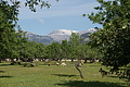 Bernhard Saalfeld - DSC04972.JPG