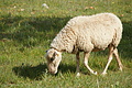Bernhard Saalfeld - DSC04977.JPG