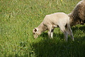 Bernhard Saalfeld - DSC04980.JPG