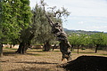 Bernhard Saalfeld - DSC04986.JPG