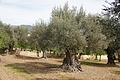 Bernhard Saalfeld - DSC04987.JPG