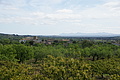 Bernhard Saalfeld - DSC04988.JPG