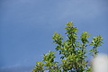 Bernhard Saalfeld - DSC04993.JPG
