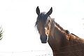 Bernhard Saalfeld - DSC05006.JPG