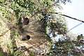 Bernhard Saalfeld - DSC05011.JPG