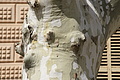 Bernhard Saalfeld - DSC05030.JPG