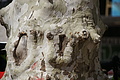 Bernhard Saalfeld - DSC05031.JPG