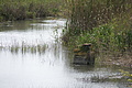 Bernhard Saalfeld - DSC05062.JPG