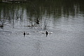 Bernhard Saalfeld - DSC05063.JPG