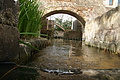Bernhard Saalfeld - DSC05099.JPG