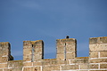 Bernhard Saalfeld - DSC05125.JPG