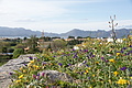 Bernhard Saalfeld - DSC05127.JPG
