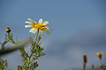 Bernhard Saalfeld - DSC05129.JPG