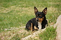 Bernhard Saalfeld - DSC05157.JPG
