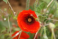 Bernhard Saalfeld - DSC05174.JPG