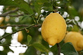 Bernhard Saalfeld - DSC05175.JPG