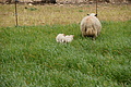 Bernhard Saalfeld - DSC05177.JPG