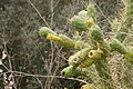 Bernhard Saalfeld - DSC05183.JPG