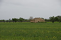 Bernhard Saalfeld - DSC05186.JPG