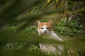 Bernhard Saalfeld - DSC05217.JPG