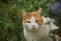 Bernhard Saalfeld - DSC05218.JPG