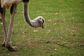 Bernhard Saalfeld - DSC05228.JPG