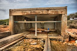 DSC03443_4_5_Localtone_t.jpg