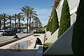 DSC03004_t.JPG