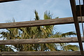 DSC03011_t.JPG