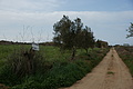 Bernhard Saalfeld - DSC03023.JPG