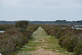 Bernhard Saalfeld - DSC03089.JPG