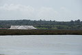 Bernhard Saalfeld - DSC03090.JPG