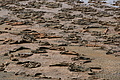 Bernhard Saalfeld - DSC03094.JPG